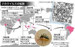 ジカ熱